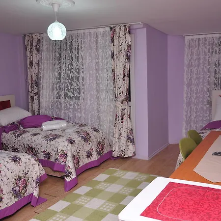 Hotel Guler Bursa