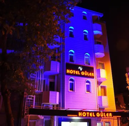 Guler Hotel *
