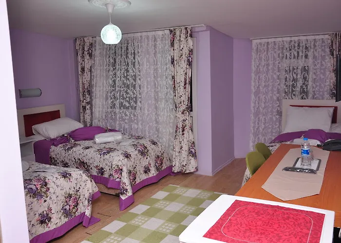 Hotel Guler Bursa